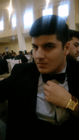 windozero  GIF
