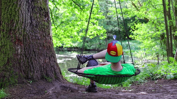 sfh propeller hat propellerhead propelhat GIF