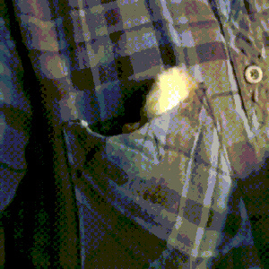 muddymelly  GIF