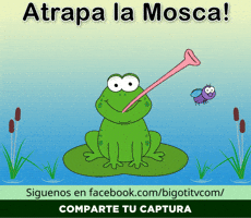 EsTuTV  GIF