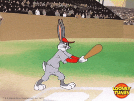 World Series Baseball GIF by Looney Tunes