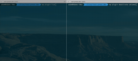 atomicsmash wordpress wp-cli atomic smash GIF