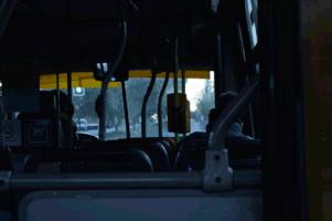 Isidora  GIF
