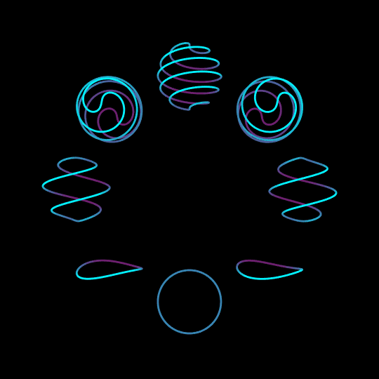 xtreme winders GIF