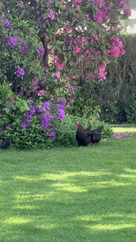 You And Me Friends GIF