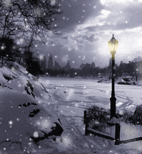 Winter-night-games GIFs - Get the best GIF on GIPHY