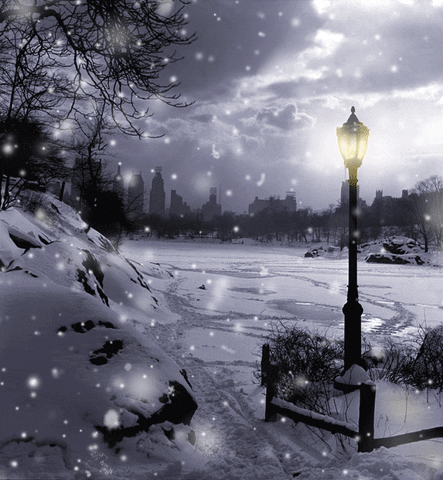 new york city snow GIF by ELFvid
