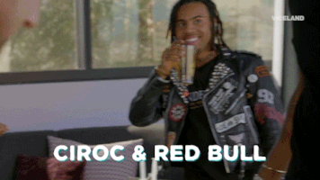 vodka redbull GIF by MOST EXPENSIVEST