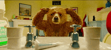 bear cleaning GIF by Videoland