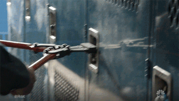 200.gif?cid=fc005b08203de03d5fa1d2427a330028f9c4fe91aa4153ab&rid=200.gif&ct=g