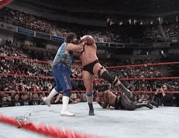 Royal Rumble Wrestling GIF by WWE