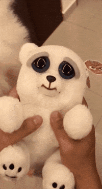Cute GIFs - Get the best GIF on GIPHY