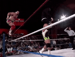 wrestling the steiner bros GIF by WWE