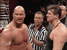 in the face slap GIF by WWE