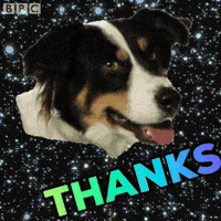 Thank You Funny Gifs Get The Best Gif On Giphy