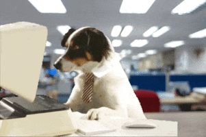 Where To Start At Work GIF by Barnaby