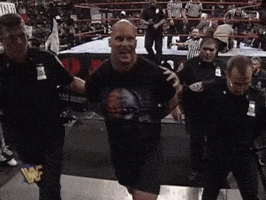 arrested steve austin GIF by WWE