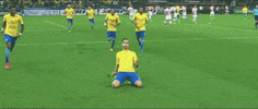 Selecao Brasileira Soccer GIF by Confederação Brasileira de Futebol