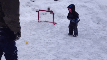 Hockey Fail GIF by America's Funniest Home Videos