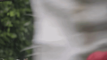 Season 7 GIF