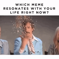 What-meme GIFs - Get the best GIF on GIPHY