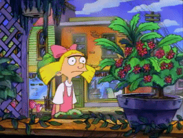 200.gif?cid=fc005b0858edaa8bde6c12d5f79607850d2b1dccbc4d0189&rid=200.gif&ct=g