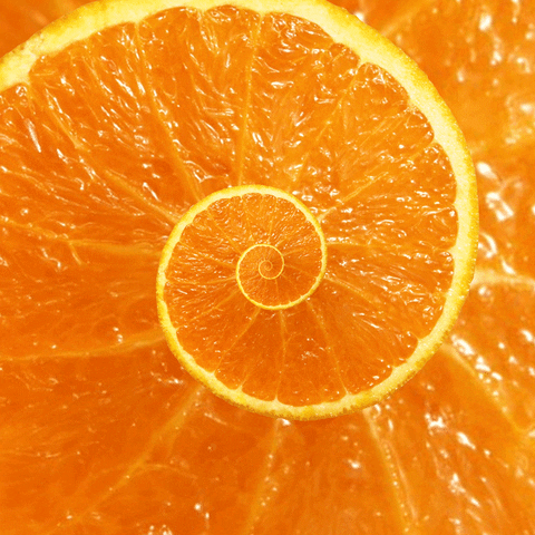 refreshing citric acid GIF by Feliks Tomasz Konczakowski