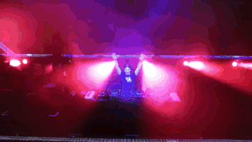 party stage GIF by Hardwell