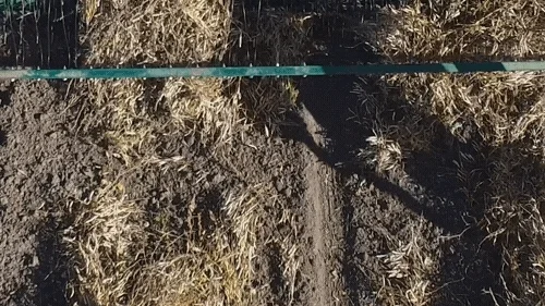 hungry process GIF