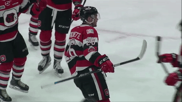hockey ohl GIF by Ottawa 67's