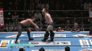 Pro Wrestling GIF