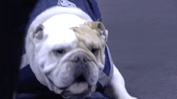 college basketball georgetown jack GIF by BIG EAST Conference
