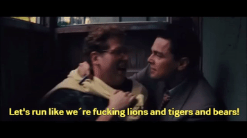 Wolf Of Wall Street ; Run GIF