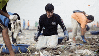 Picking Up Trash Gif