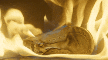 200.gif?cid=fc005b087a0d02d8299de76e5e08b3b0e81589356a0d19eb&rid=200.gif&ct=g