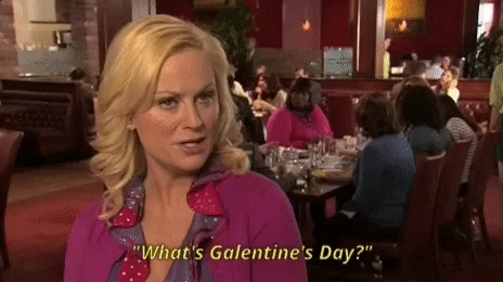 Parks And Recreation Happy Galentines Day GIF