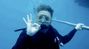 scuba diving burnie vlog GIF by Rooster Teeth