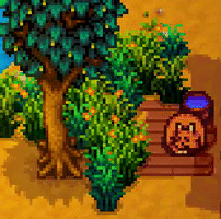 Stardew Valley Cat GIF