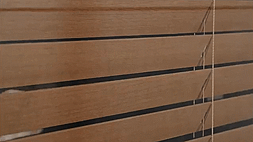 Chief Kim GIF - Find & Share on GIPHY