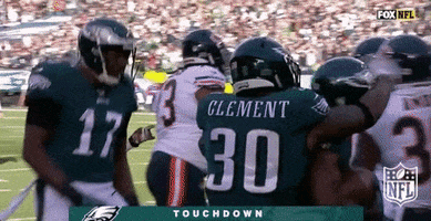 nelson agholor football GIF by NFL
