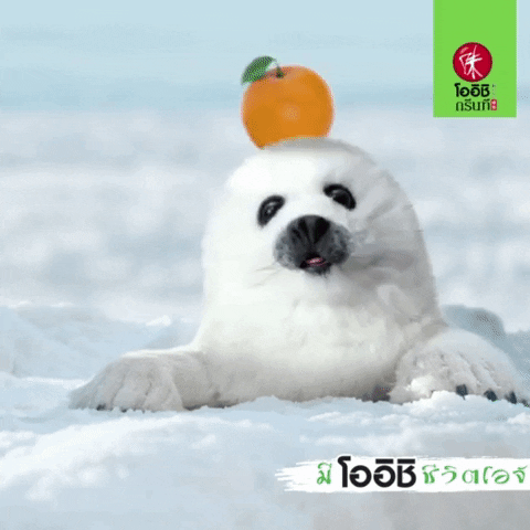 Pae Paestate GIF by OishiDrinkStation