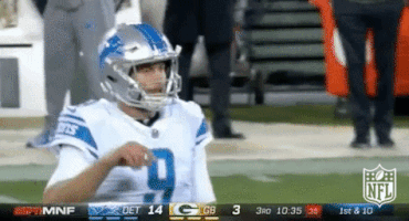 Detroit Lions Football GIF by NFL