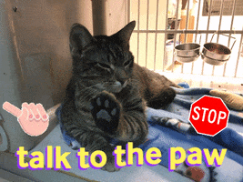 Talk To Paw GIFs - Get best GIF on