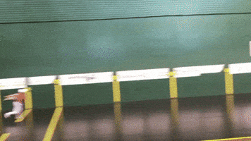 Basque Pelotebasque GIF