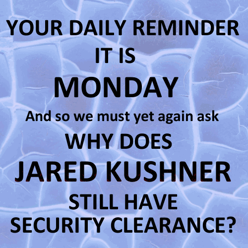 Jared Jaredkusher Securityclearance Political Kushner Jaredsecurity Security Clearance GIF