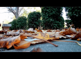 Under Armour Sneakers GIF