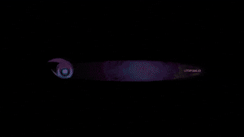 Open-Source Community GIF