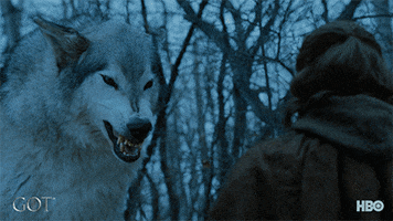 Arya Stark Hbo GIF by Game of Thrones