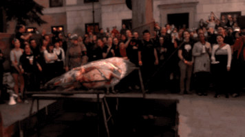 hin roast seniorhouse steerroast pitlighting GIF