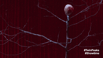 Twin Peaks The Arm Doppelganger GIF by Twin Peaks on Showtime